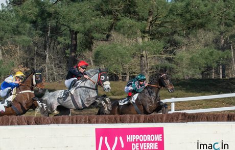 photo courses de verrie