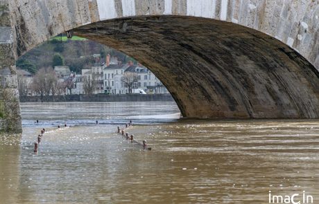 photographe saumur